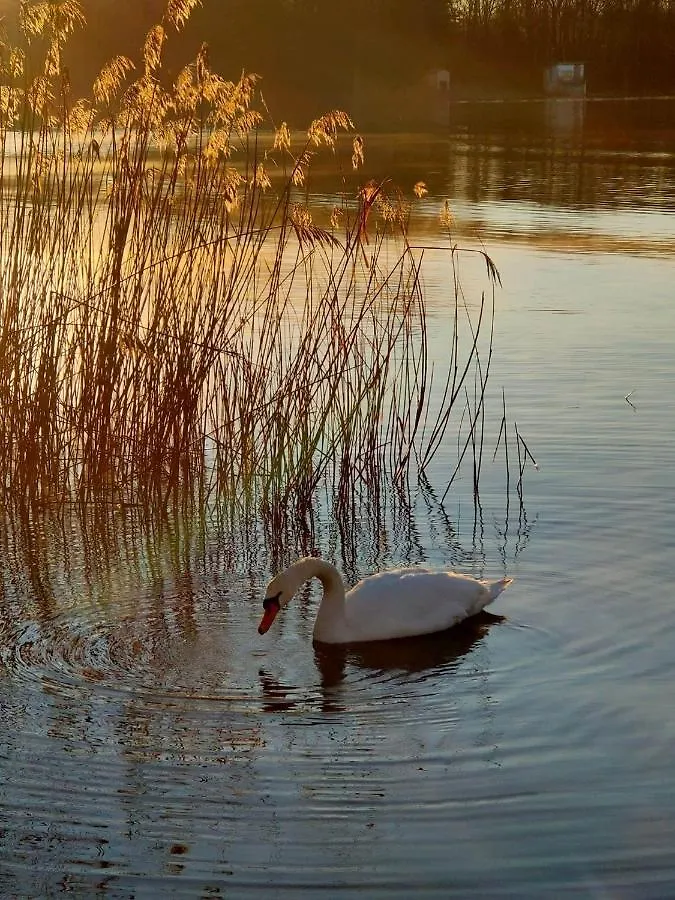 Apartment Tramonto Al Lago Gavirate Italy