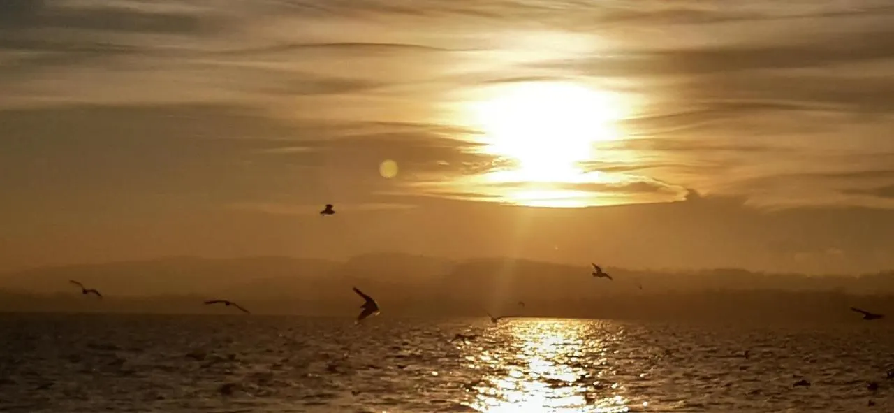 Tramonto Al Lago Gavirate Italy